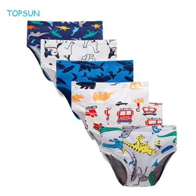 Slips pour tout-petits garçons Dinosaur Truck Kids Sous-vêtements triangulaires (Pack de 6)